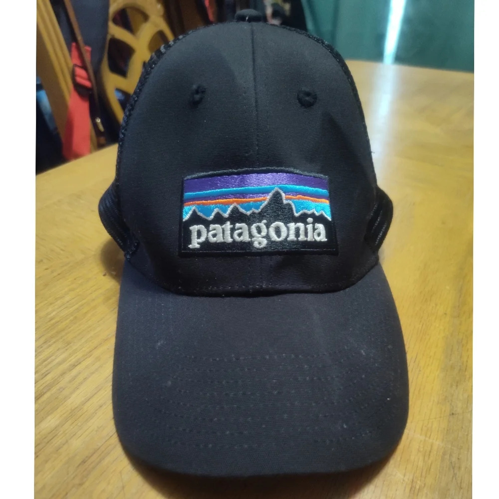 The Patagonia P-6 Logo LoPro Trucker Hat Cap - Picture 2 of 7